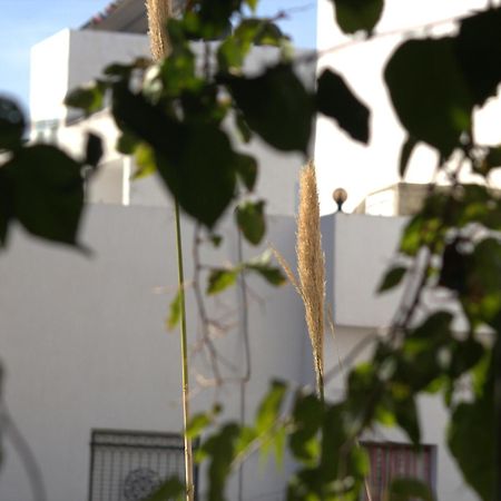 Residence Sterne Hammam al Ghazzaz Exterior foto